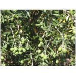 img_7058.jpg